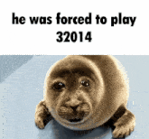 He Was Forced To Play 32014 Seal GIF - He Was Forced To Play 32014 Seal Coolaund GIFs
