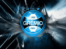Gremio GIF - Gremio GIFs
