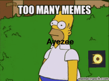 Ayezee Too Many Memes GIF - Ayezee Too Many Memes GIFs