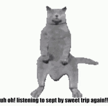 Sweet Trip Sept GIF - Sweet Trip Sept Cat GIFs