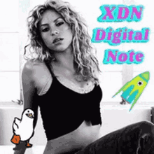 Xdn Ducknote GIF - Xdn Ducknote Digitalnote GIFs