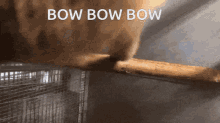Monkey Bow GIF - Monkey Bow GIFs