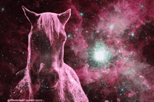 Tomascore Cosmic GIF - Tomascore Cosmic Horse GIFs
