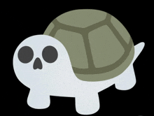 a turtle with a skull on its head