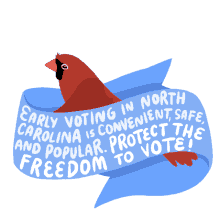 early voting in north carolina is convenient safe and popular protect the freedom to vote north carolina vote votes