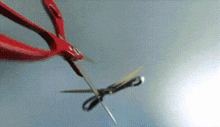 a pair of red scissors cutting a piece of paper on a blue background