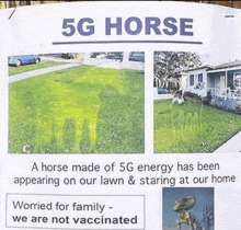 5g Horse GIF - 5g Horse Conspiracy GIFs