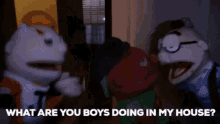 Sml Brooklyn Guy GIF - Sml Brooklyn Guy What Are You Boys Doing In My House GIFs