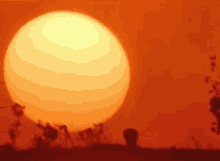 a large orange sun is setting over a field of plants