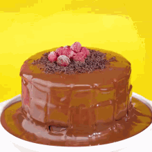 a chocolate cake with raspberries on top is on a white plate