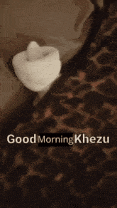 a leopard print blanket with the words good morning khezu written on it