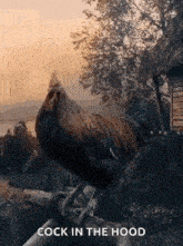 a rooster is standing on a fence post with the words `` cock in the hood '' written on the bottom .