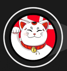 a white cat with a bell around its neck is smiling