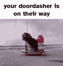 Your Doordasher Is On Their Way Kitty GIF - Your Doordasher Is On Their Way Kitty Doordash GIFs