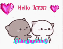 a couple of cats standing next to each other with hearts around them and the words `` hello lover the gay kind '' .