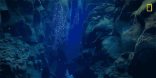 Underwater National Geographic GIF - Underwater National Geographic Weird GIFs