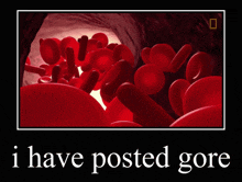 a poster that says i have posted gore with a picture of red blood cells