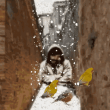 a man in a hooded jacket stands in a snowy alleyway surrounded by birds