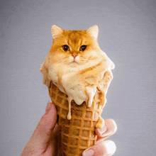 a person is holding an ice cream cone that looks like a cat
