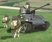 Cyriak Cow GIF - Cyriak Cow War GIFs
