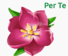 per te for you flowers flower pink flower