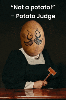 Not A Potato Potato Judge GIF - Not A Potato Potato Judge Judge Potato GIFs