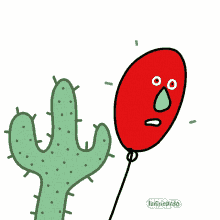 corre cactus