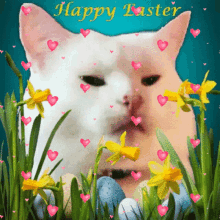 Smudge Cat Easter Smudge GIF - Smudge Cat Easter Smudge Smudge Cat GIFs