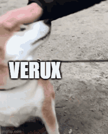 Verux Flyff GIF
