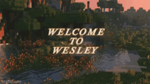 Minecraft Wesley GIF - Minecraft Wesley GIFs