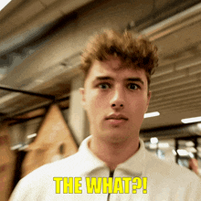 The What GIF - The What The What GIFs