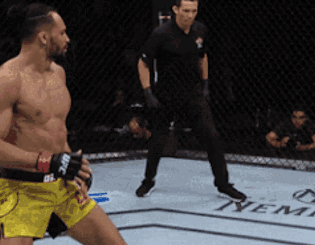 michel-pereira-capoeira.gif