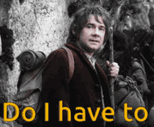Lord Of The Rings Do I GIF - Lord Of The Rings Do I Have To GIFs