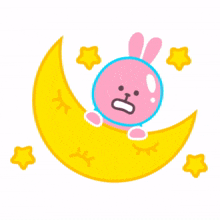 pink rabbit moon star scared