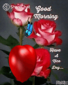 Good Morning Have A Nice Day GIF - Good Morning Have A Nice Day शुभप्रभात GIFs