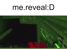 a screenshot of a video game with the words `` me reveal : d '' at the top .