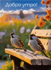 two birds are sitting on a wooden bench with flowers in the background