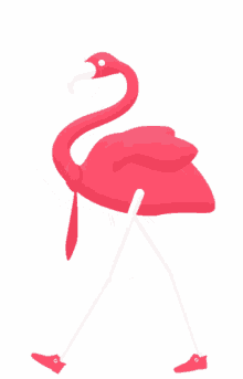 flamingo fabulous tie suit business