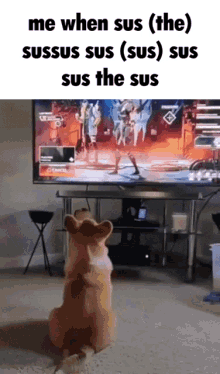 Sus The GIF - Sus The Sussus GIFs