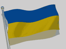 Ukraine Flag GIF - Ukraine Flag Flag Waver GIFs