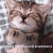 Aram Cat GIF - Aram Cat Sleep GIFs