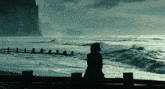 a silhouette of a person standing on a fence overlooking the ocean
