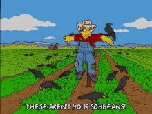 soybeans seed millhouse the simpsons farming