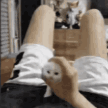 Playing With Pussy Blackoen GIF - Playing With Pussy Blackoen GIFs