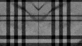 a black and white plaid fabric with a shadow of a person