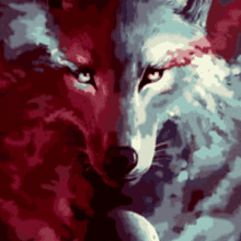 Wolf Spanning GIF - Wolf Spanning GIFs