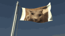 Weird Cat Flag GIF - Weird Cat Flag Big Fan Of This Lad Tbh GIFs