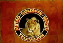 Mgm Mgm Lion Leo The Lion Roar Big Cats Metro Goldwyn Mayer GIF - Mgm Mgm Lion Leo The Lion Roar Big Cats Metro Goldwyn Mayer Roar GIFs