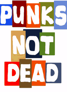 punks rocker ska punk punkrock