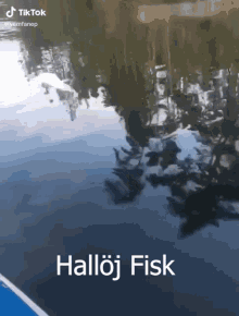 Hallöj Fisk Fish GIF - Hallöj Fisk Fisk Fish GIFs